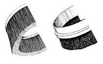 Cup Arcpics