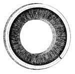 Invcoil