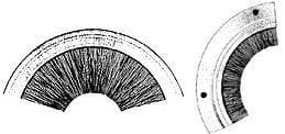 Inverted Arcs