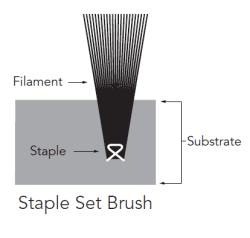 Staple Set Brush